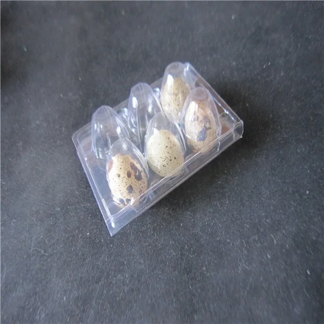 12 packs quail  egg  tray plastic PVC container for eggs