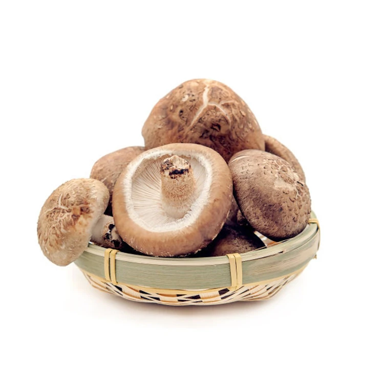 
Wholesale Prices Primary Color Free Pick Charm Dried Shiitake Mushroom Stem With Type Complete 