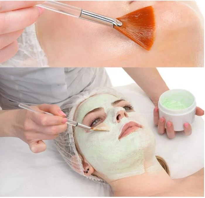 fan makeup brushes for facial