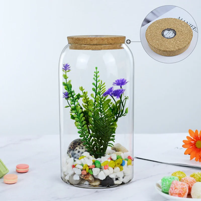 Plant Terrarium Set Recycled Glass Closed Large Terrariums For Plants