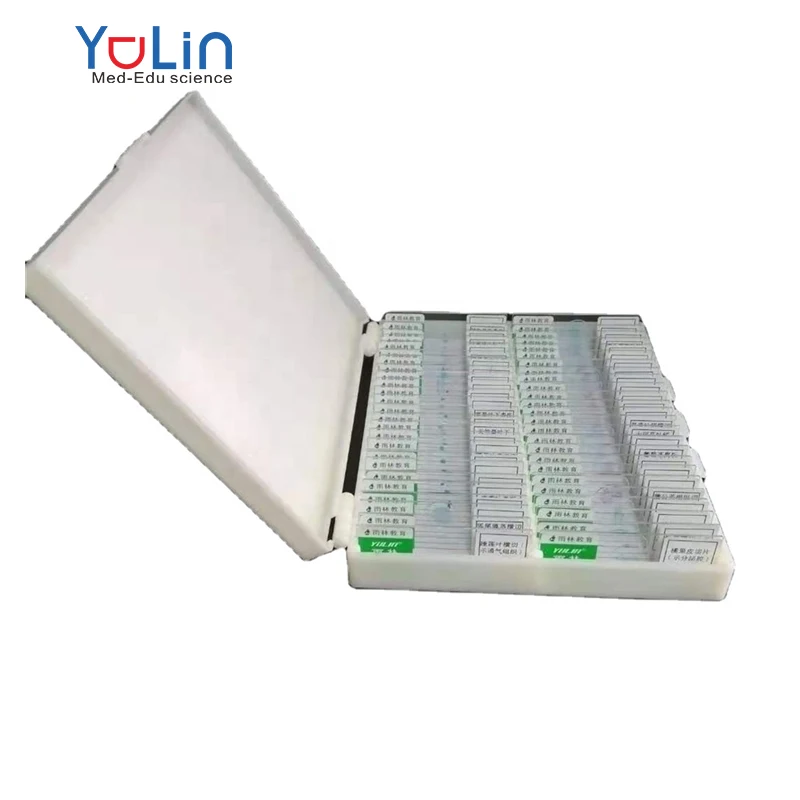 Factory Microscope Prepared Teaching Slides Professional Led Binocular Biological Lab Using Microscope Prepared Teaching Slides