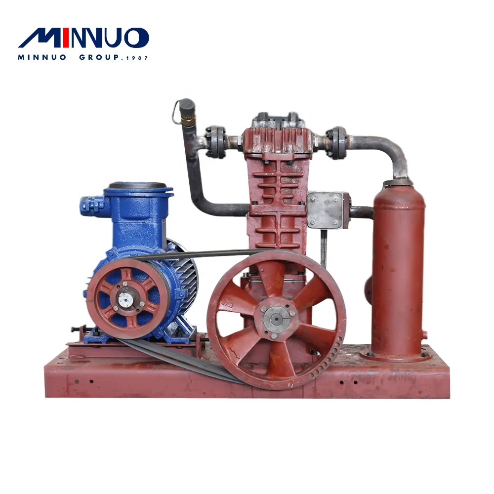 Minnuo 2022 energy saving home cng compressor 220V 50hz in China