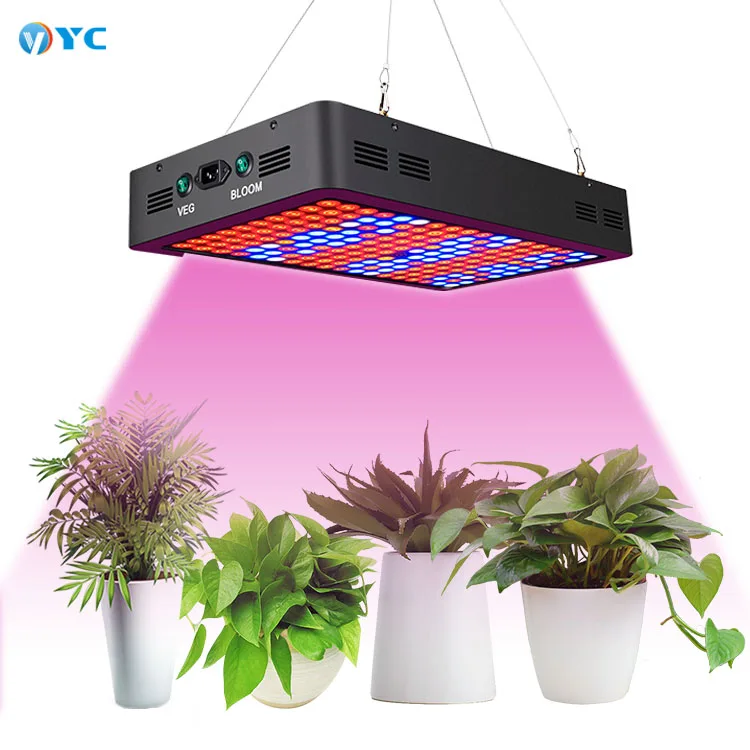 Полный спектр 600/800/900/1000/1200/1800/2000 Вт Cob LED Grow Light 410-730nm для комнатных растений и цветок парниковых расти палатку