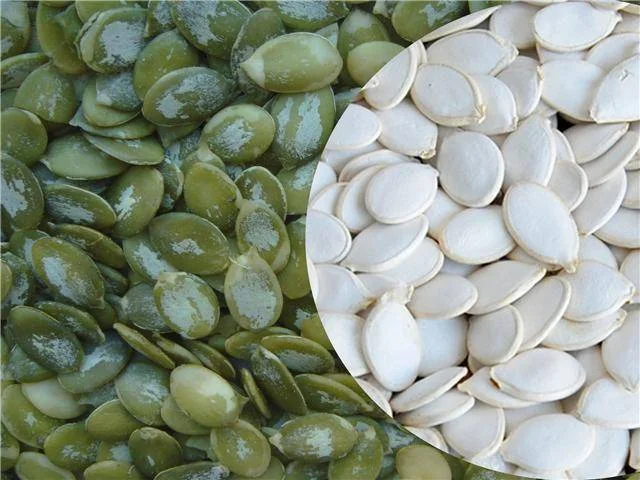 Китайские органические семена тыквы по оптовой цене