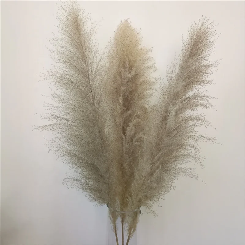 Оптовая продажа с фабрики Юньнань, большой натуральный сушеный цветок, длинный стебель, сухая пампасная трава для домашнего декора