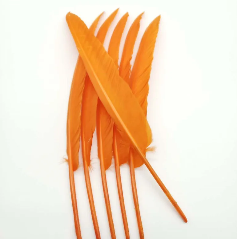 DIY Wholesale plume hot selling points bird black pink white blue carnival Cheap Wing feathers goose feather for sale