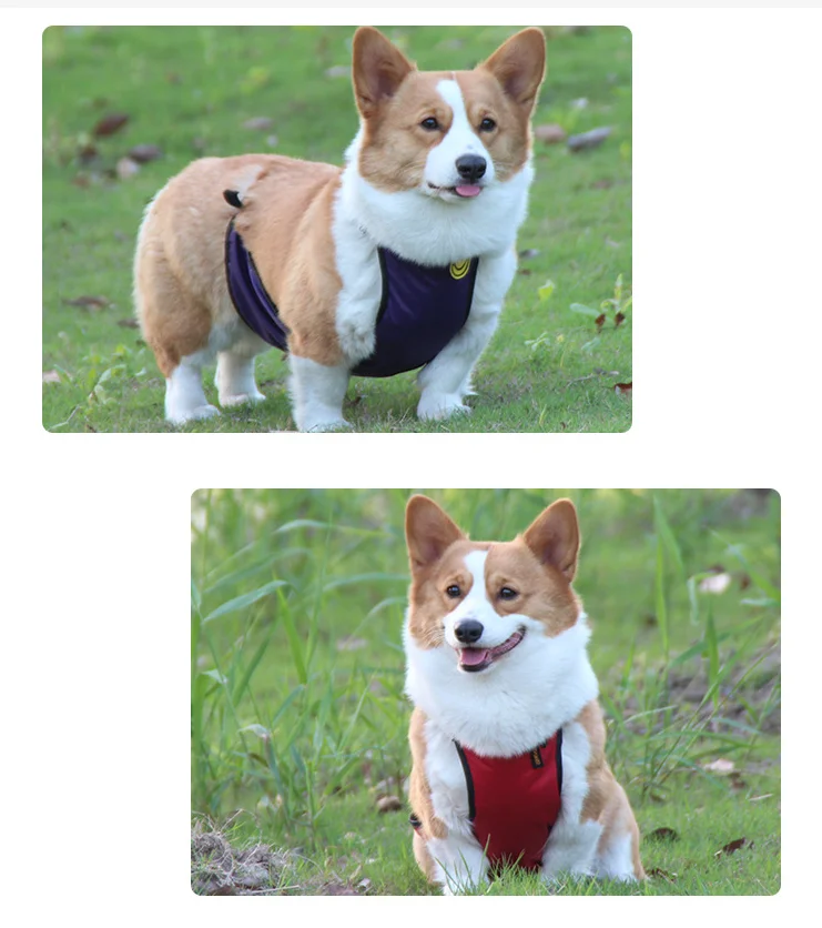 Pet Clothes Dog Belly Cover Apron Waterproof Vest for short leg dog