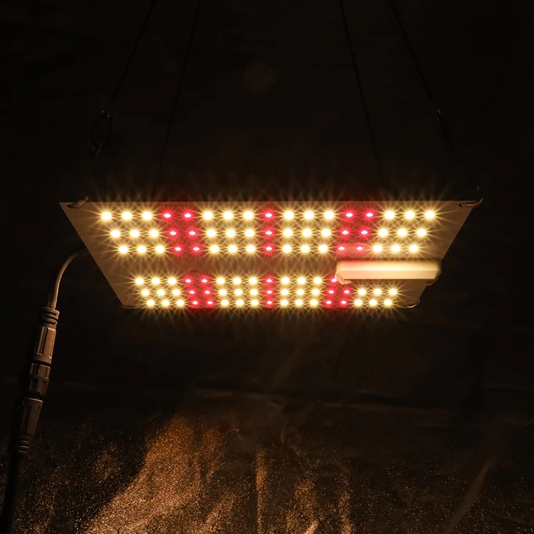 Plug and play mini grow light KingBrite 35W Samsung lm301h full spectrum led grow light from king brite