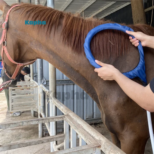 Kaphatech New Inventions For Horse PMST Loop Pemf Magnetic Therapy Device Horse Ankle Rehabilitation Equipment
