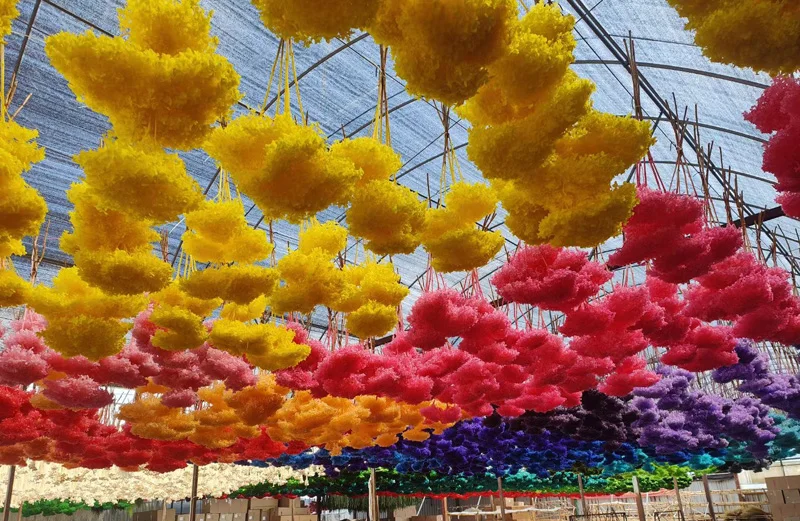 Wholesale the Real Touch Natural Dried Hydrangeas flowers artificial Preserved Hydrangea for wedding Decorations