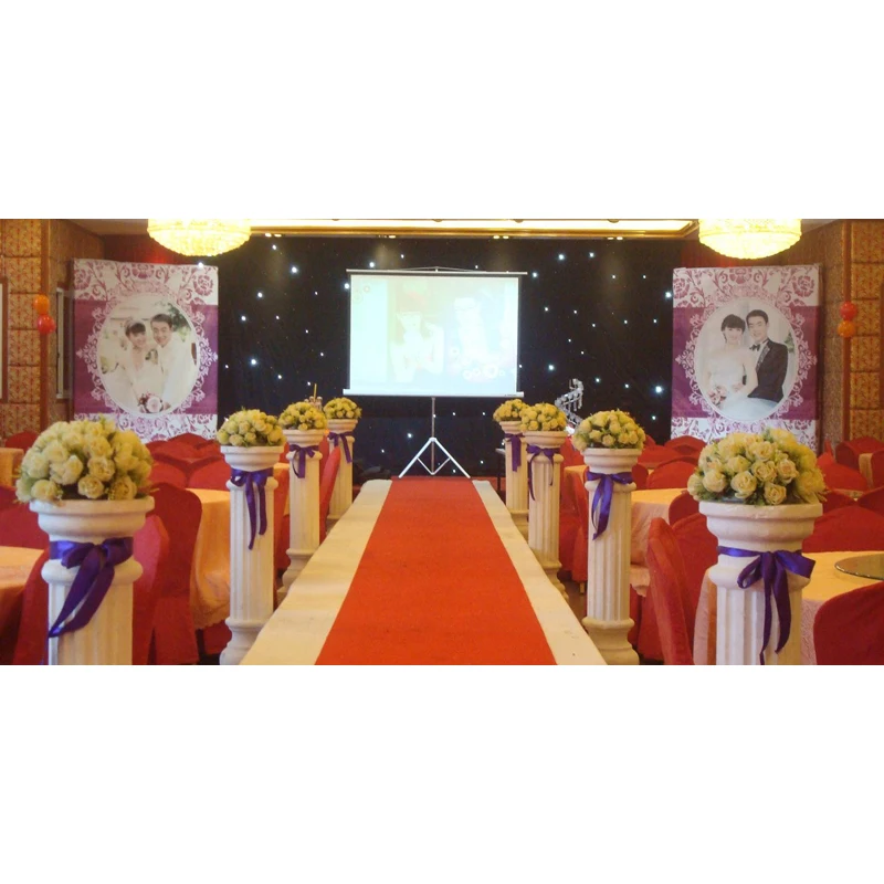 Blue and white Star curtain Wedding backdrop event