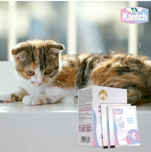 manufactural odm pet nutrition supplements for dogs diarrhea or constipation treatment regulate the stomach