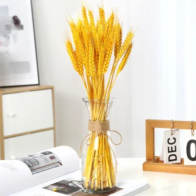 Wholesale Dried Wheat Sheaves wheat Stalks Natural Ear of Wheat Grain Flowers Dry Grass Bunch for Pampas grass Arrangements