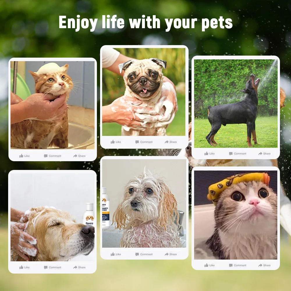 Pet Shampoo Hot Sale Wholesale 2-In-1 Coconut Shampoo and Conditioner 100% Organic shampoo for pet