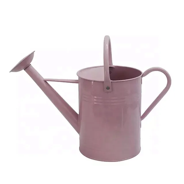Wholesale 6L galvanized watering can garden watering pot