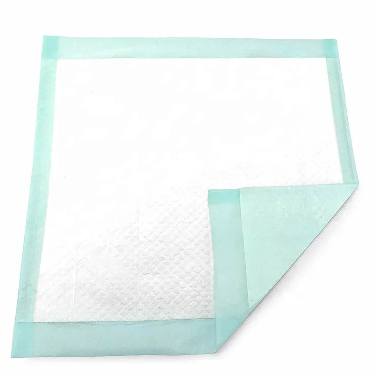 Free sample disposable large size biodegradable 100% compostable amazon basics dog and puppy pet training pads