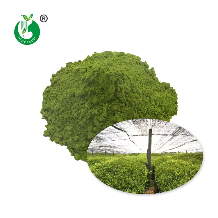 
OEM Organic Matcha Tea Powder With Private Label 