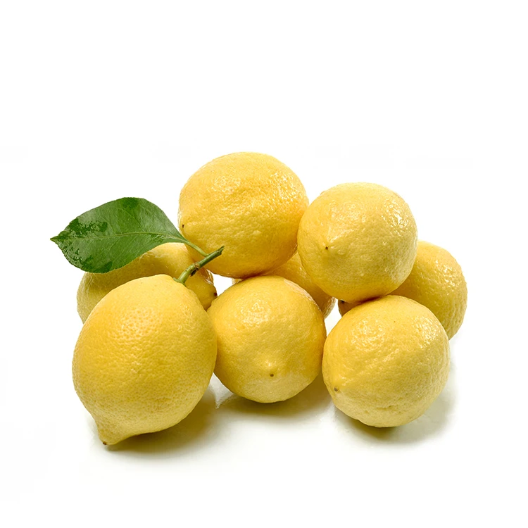 Wholesale Best Price of Yellow Lemon Fruit Lemon Direct Supplier