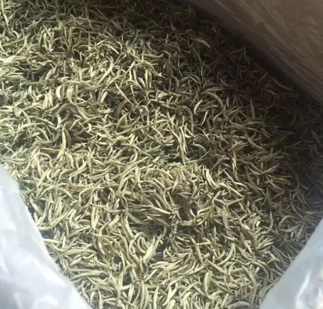 Yin zhen cha china Silver Needle tea for sale