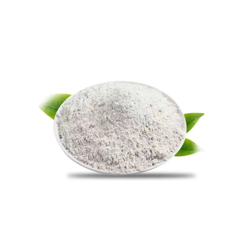 From stock supply of lactostreptococcin raw powder food grade preservative preservative meat products