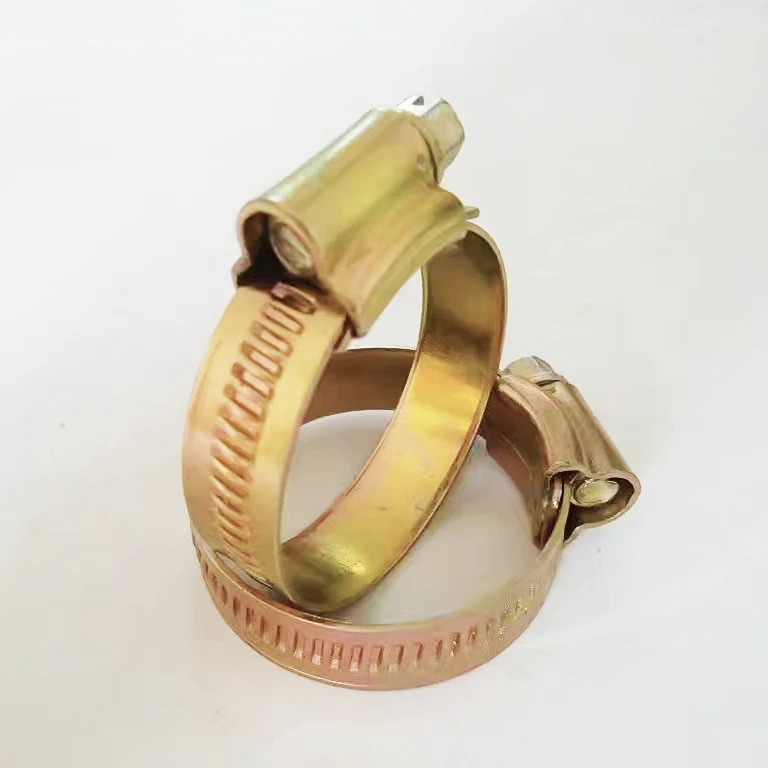 British Style Galvanized Jubilee Titanium Hose Clamp