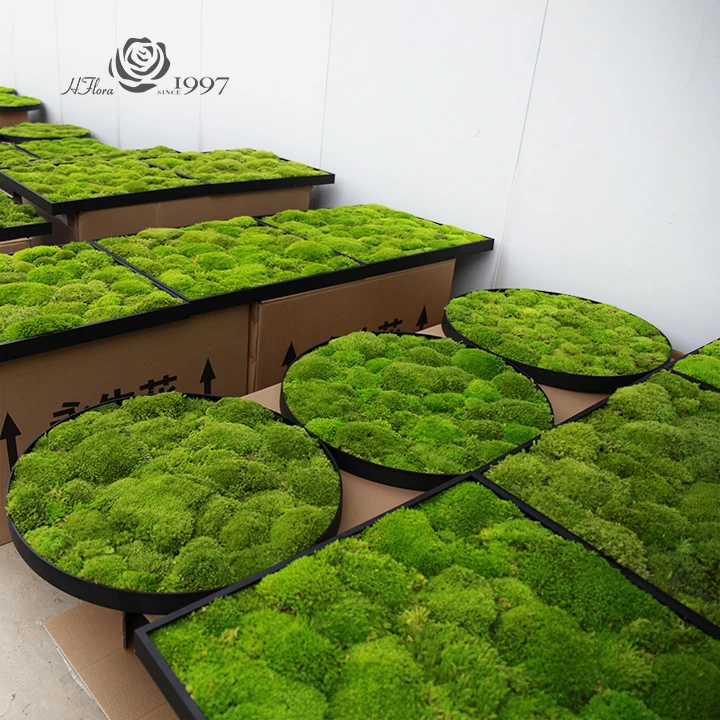 Hfloral Moss Wall Panel Decor Real Preserved Moss Natural Green Wall Art Moss Frame Black or White