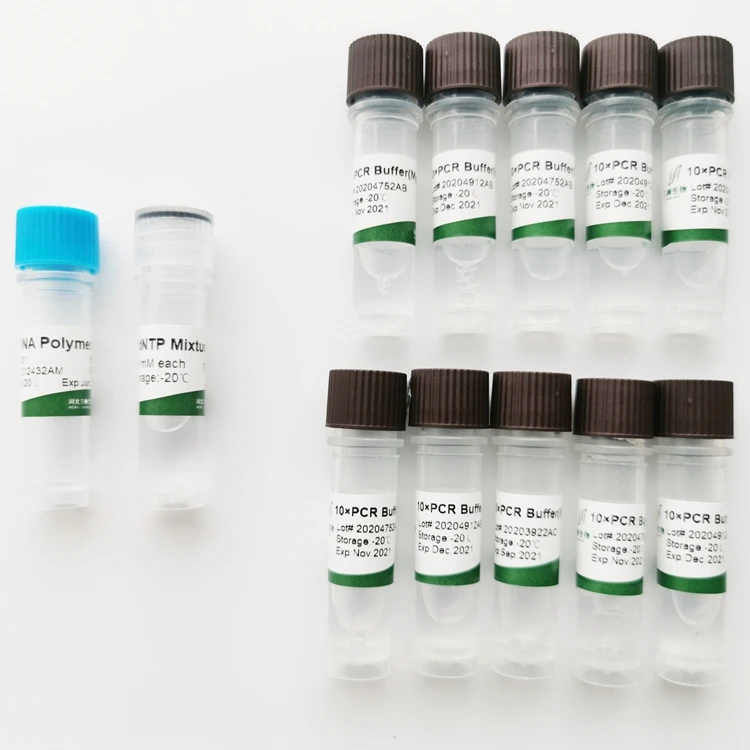 High quality customized sanshibio taq dna polymerase(with Mg2+)