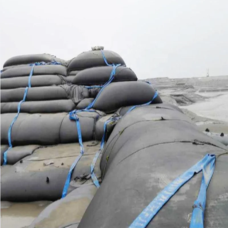 400g PP Geotextile Tubes Woven Geotextiles for Sludge Treatment  Onsite Training