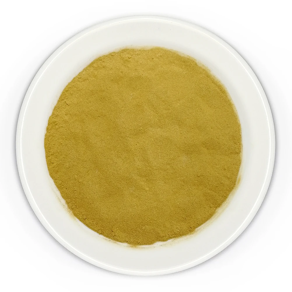 Natural Organic Phellinus Igniarius / Phellinus Linteus Mushrooms Extract Powder  for Sale