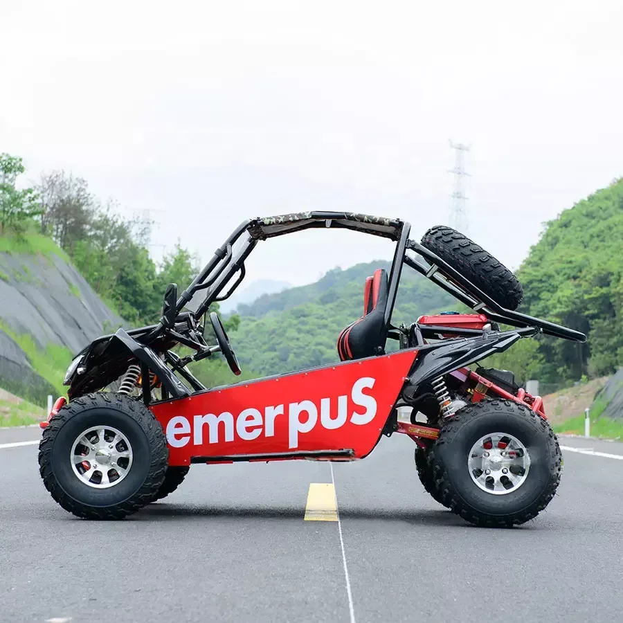 New 200cc automatic Go Kart 300cc Go Cart Adult