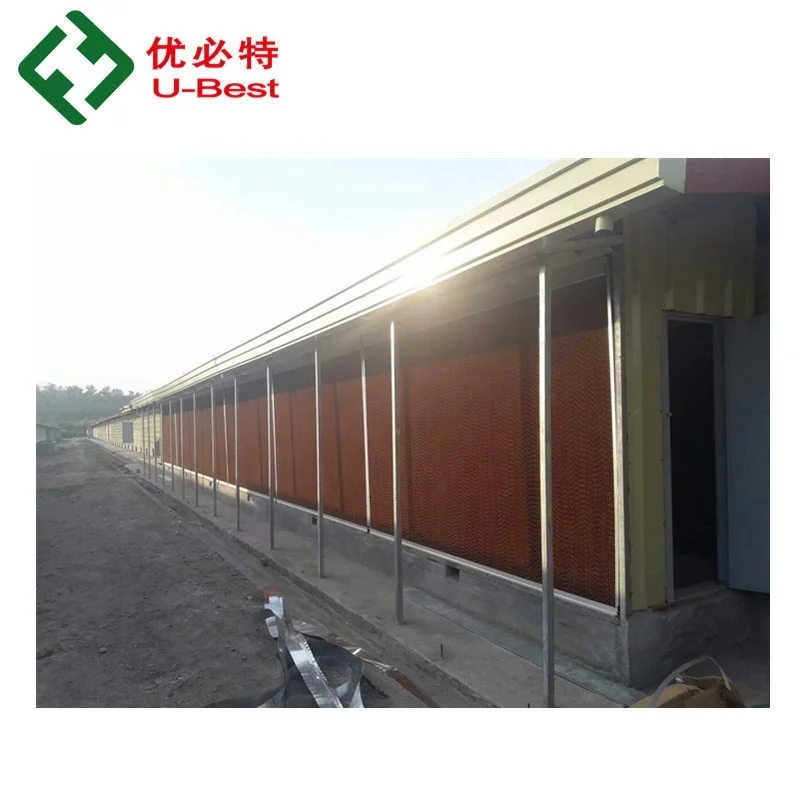 Animal feeder poultry Chicken farming house equipment for broiler/breeder/laying/chick