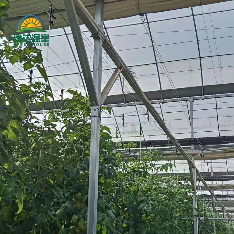 made in china SUNSGH greenhouse low price Multi-Span Agricultural PO film greenhouse china green house