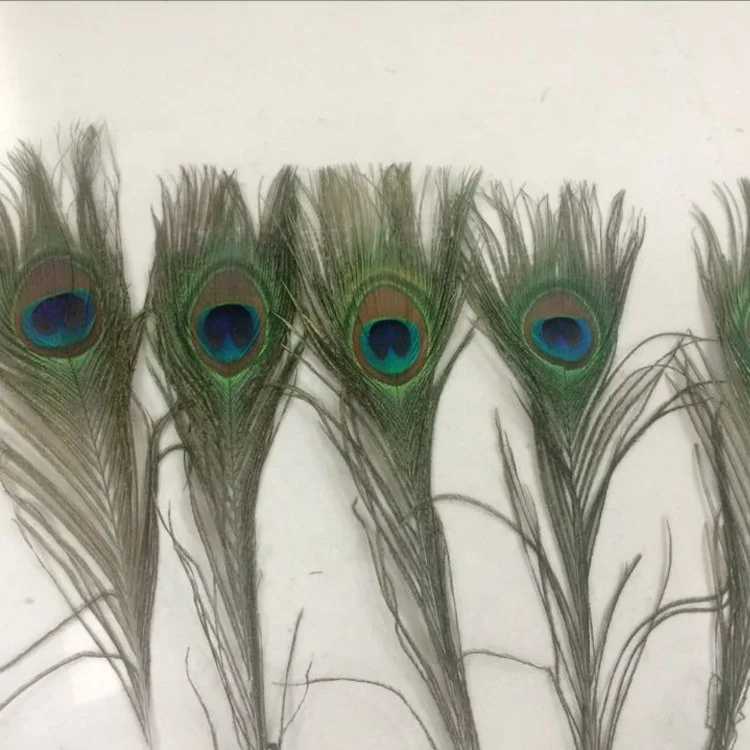 hot selling natural 40-50cm peacock feather