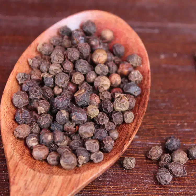 GEKO Food Large Quantities Sell Authentic Whole Chinese Pepper For Spice