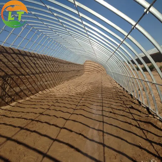 Winter cold weather greenhouse solar greenhouse