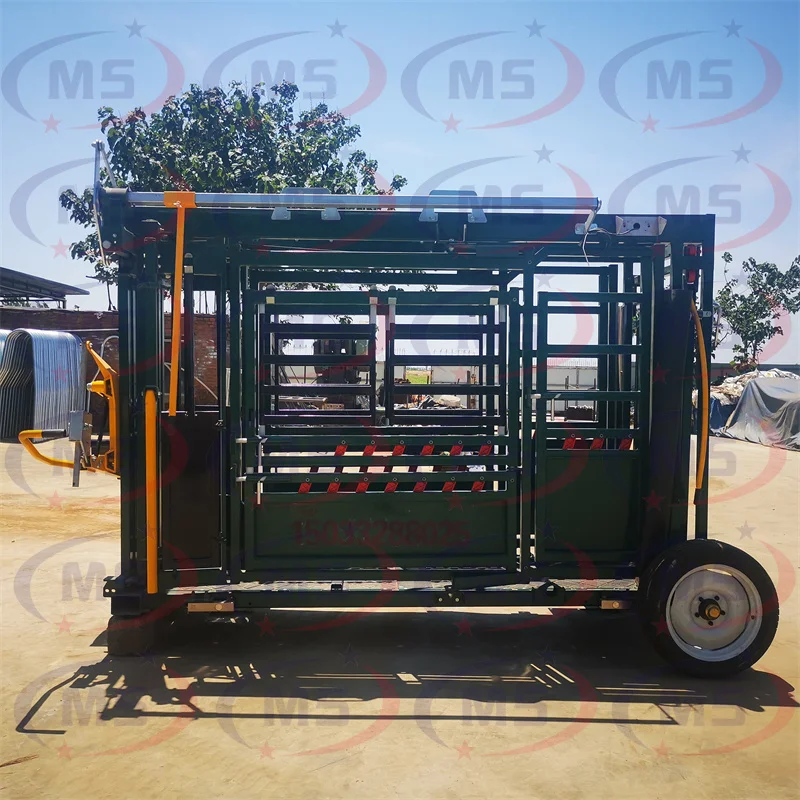 Stainless Steel Cattle Hold Cage Cattle Crush Heavy Duty And Reliable With Weighing System