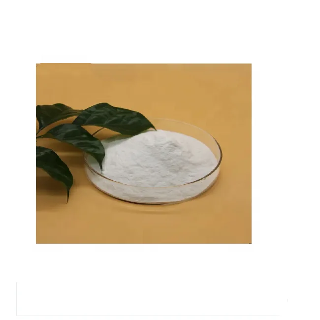 Cellulose Ether HPMC Widely used in Daily Chemicals Products Detergent/Shampoo/Toothpaste