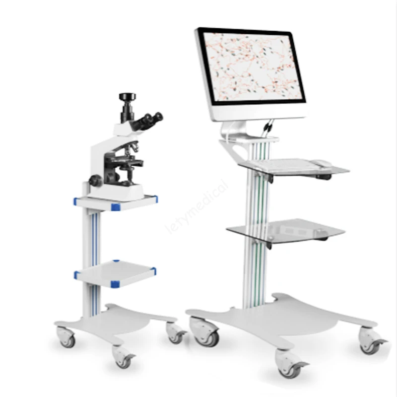 Мужская сексуальная дисфункция реабилитация и терапевтический аппарат (семейная версия)