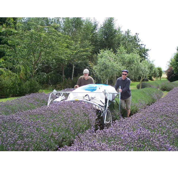 2019 высокое качество высокая эффективность Япония качество два мужчины Лаванда или комбайн