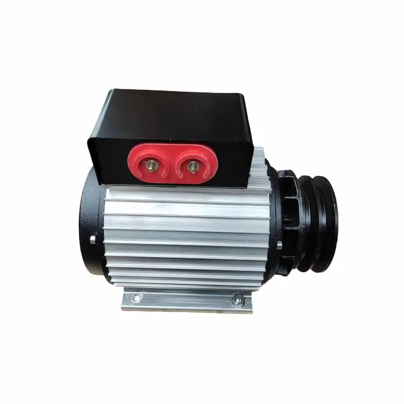 5kw 500rpm 600rpm  50HZ 60HZ 1 phase 220v Low speed Permanent Magnet Generator