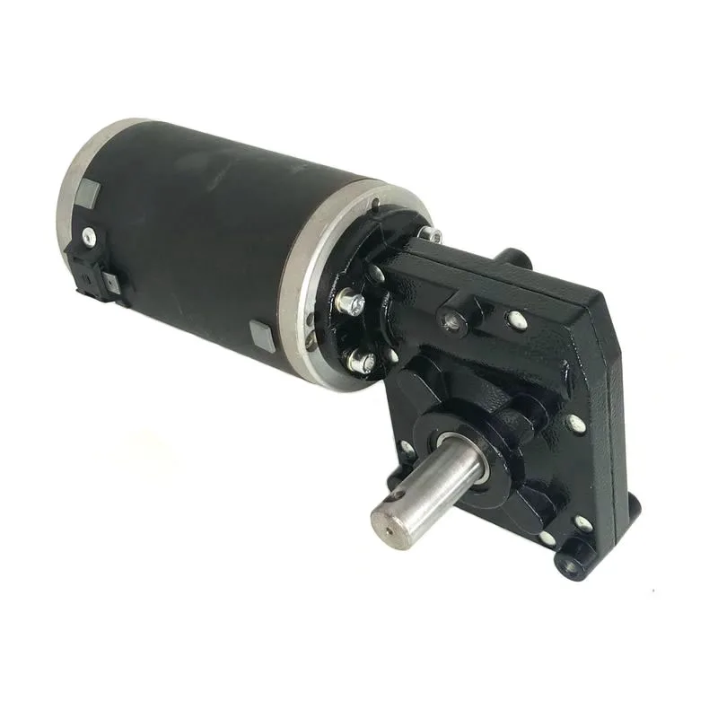 Dual Shaft Worm Gear Motor 120Rpm 60Rpm 20Nm 50Nm 12V 24V 350W 200W Dc Worm Gear Motor