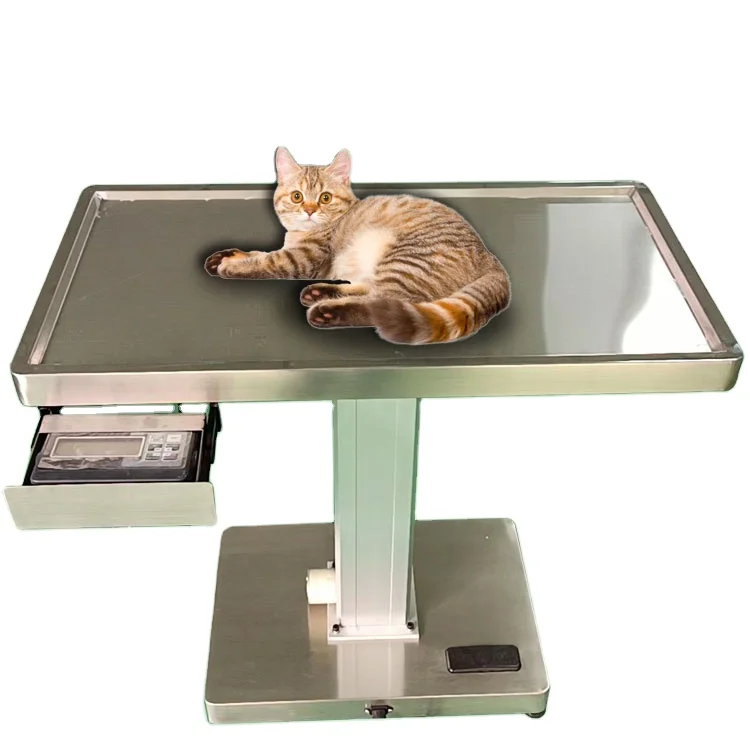 Hacemey veterinary disposable treatment table with electric scale examination table veterinary