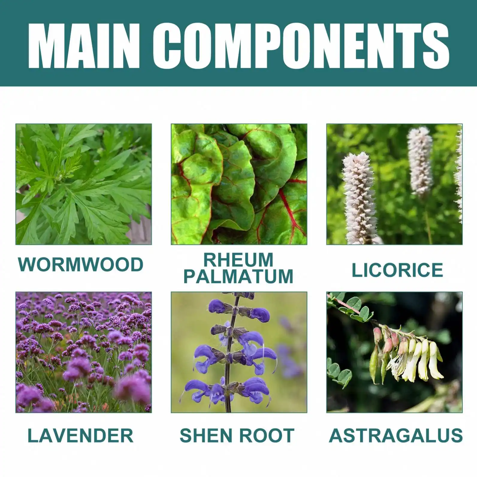 New Hot EELHOE Wormwood Navel Slimming Patch Organic Herbal Energy Slim Belly Patch Weight Loss Burning Fat Slimming Patch