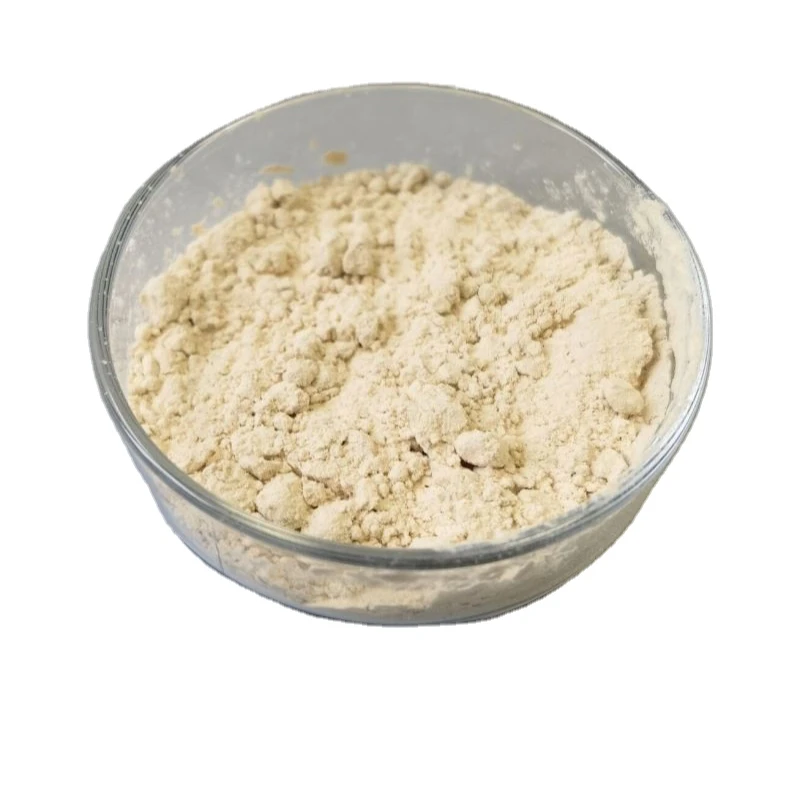 China  Factory Supply High quality Ginsenosides RE 98%  Ginseng Extract Powder  From Stems and Leaves