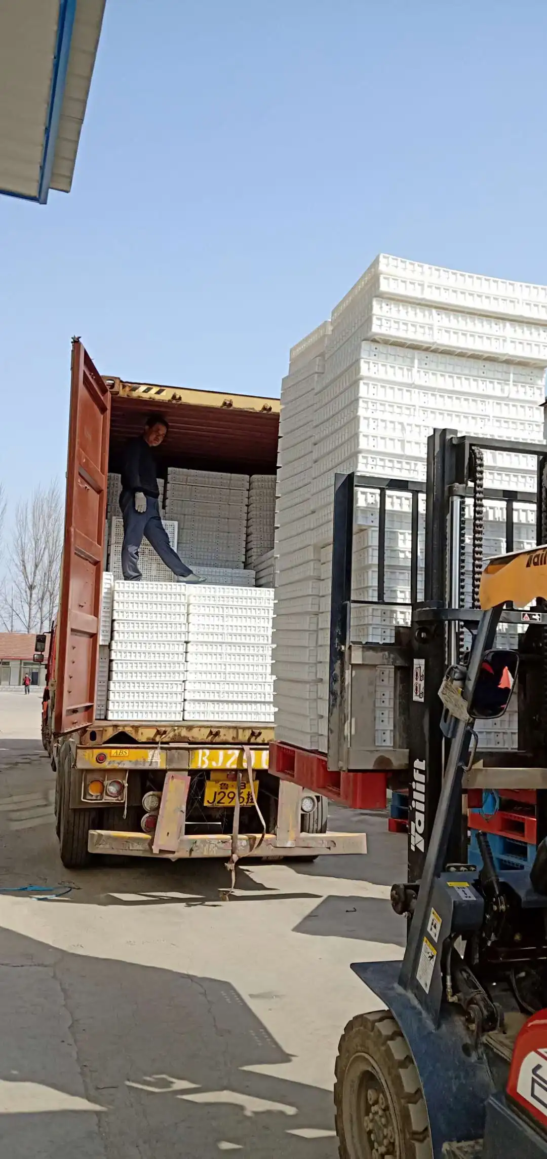 Farm cheap chick young bird transport box basket