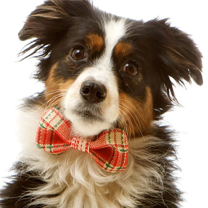 wholesale new fashion dog bow tie