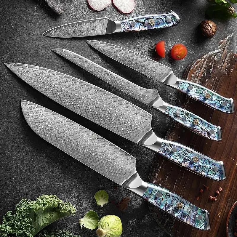 5PCS Damascus Steel Set Damascus VG 10 Chef Knife Set Japanese Santoku Knives with Exquisite Shell Abalone handle