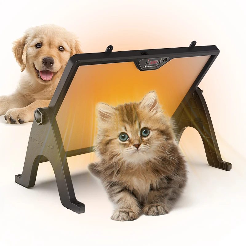 Factory Price Newest Adjustable Chick Brooder Dual Heating Plate for Newly Hatched Animals Anti-Roost Cone Heating Quickly