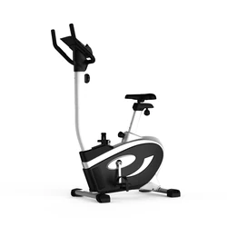 Wholesale  good price  Indoor Adult Man and woman  Fitness Exercise Spinning Bike Gym Fitness Spin Bicycle pure color