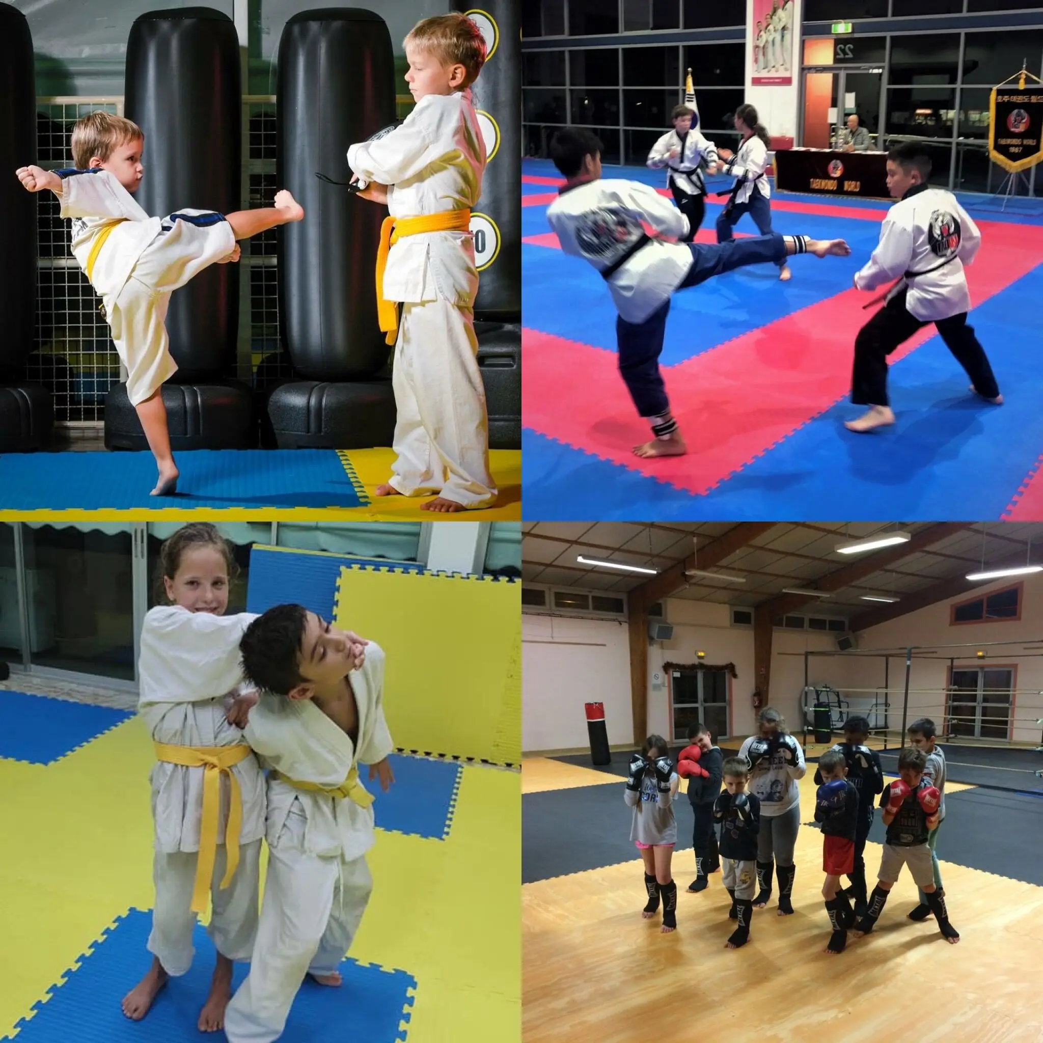 EVApuzzle mats 01.jpg